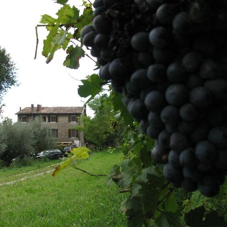 I Vigneti Bed & Breakfast Salionze Exterior photo
