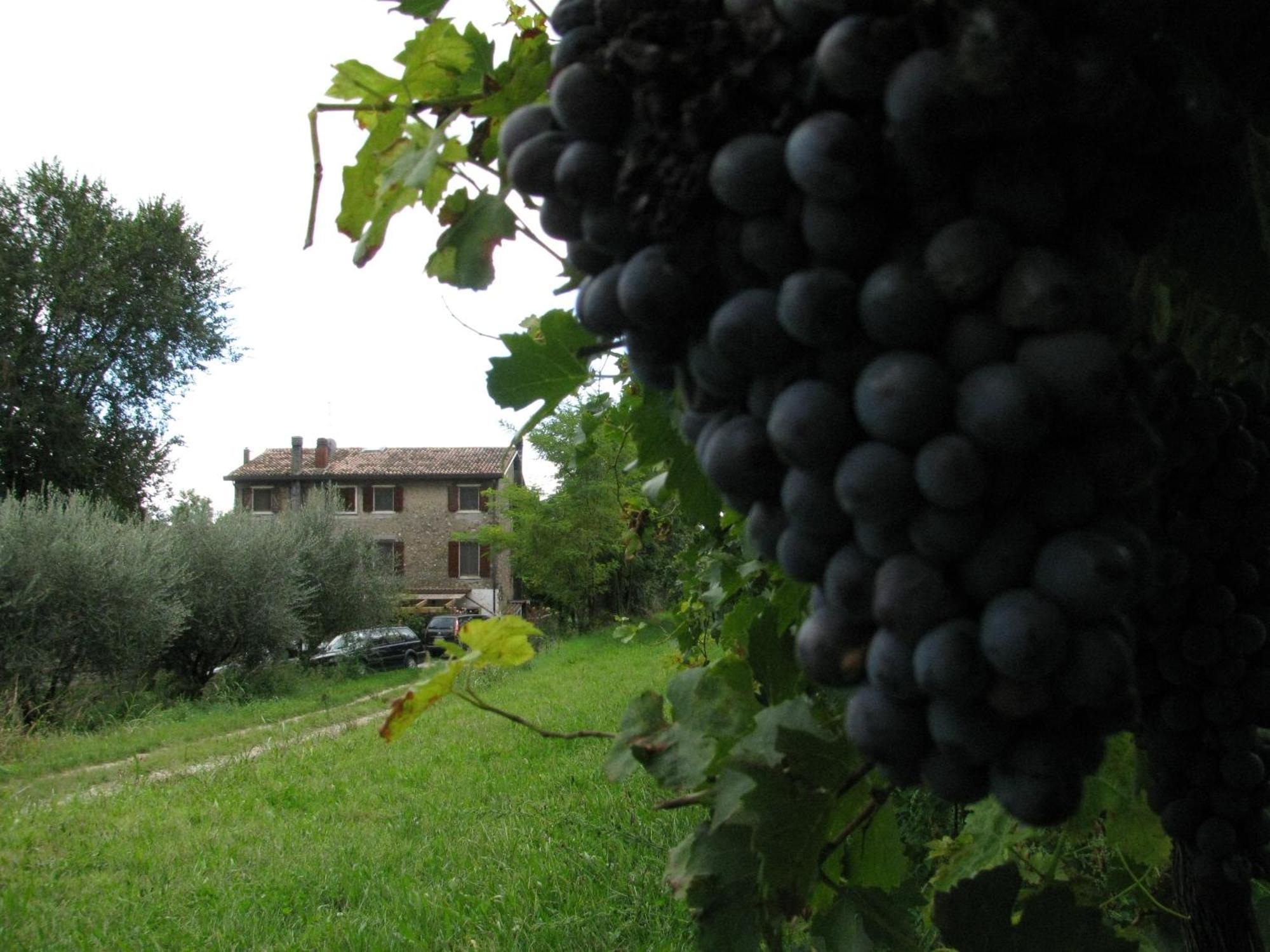 I Vigneti Bed & Breakfast Salionze Exterior photo